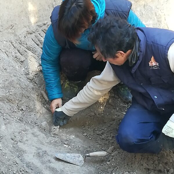 dig